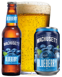 Blueberry Ale
